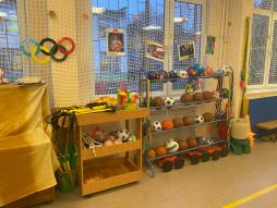 РППС в физкультурном зале