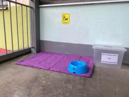 Специальное место для собаки-проводника.
- минимальный размер — 1,5 кв. м; 
- возможность фиксации собаки на свободном поводке; 
- защита от холода (сквозняков) и перегрева (вдали от обогревательных приборов, с защитой от прямых солнечных лучей); 
- нерасположение на проходе; 
- наличие чистой подстилки и непереворачиваемой поилки для воды. 
Место для собаки оснащено специальным обозначением - наклейкой с графической информацией.